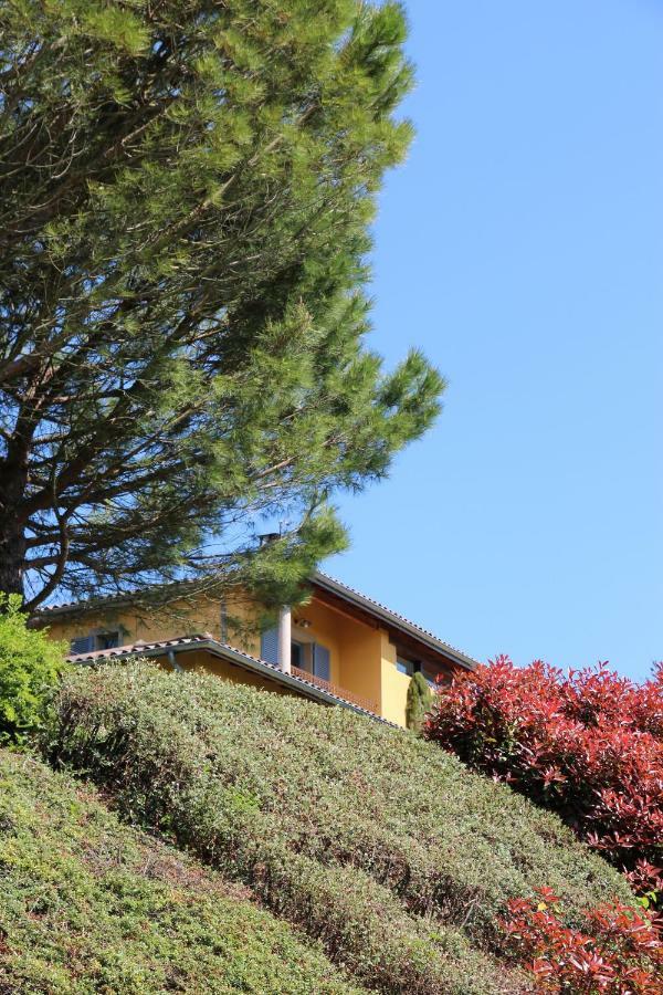 Le Vallon de Saint André Limonest Esterno foto
