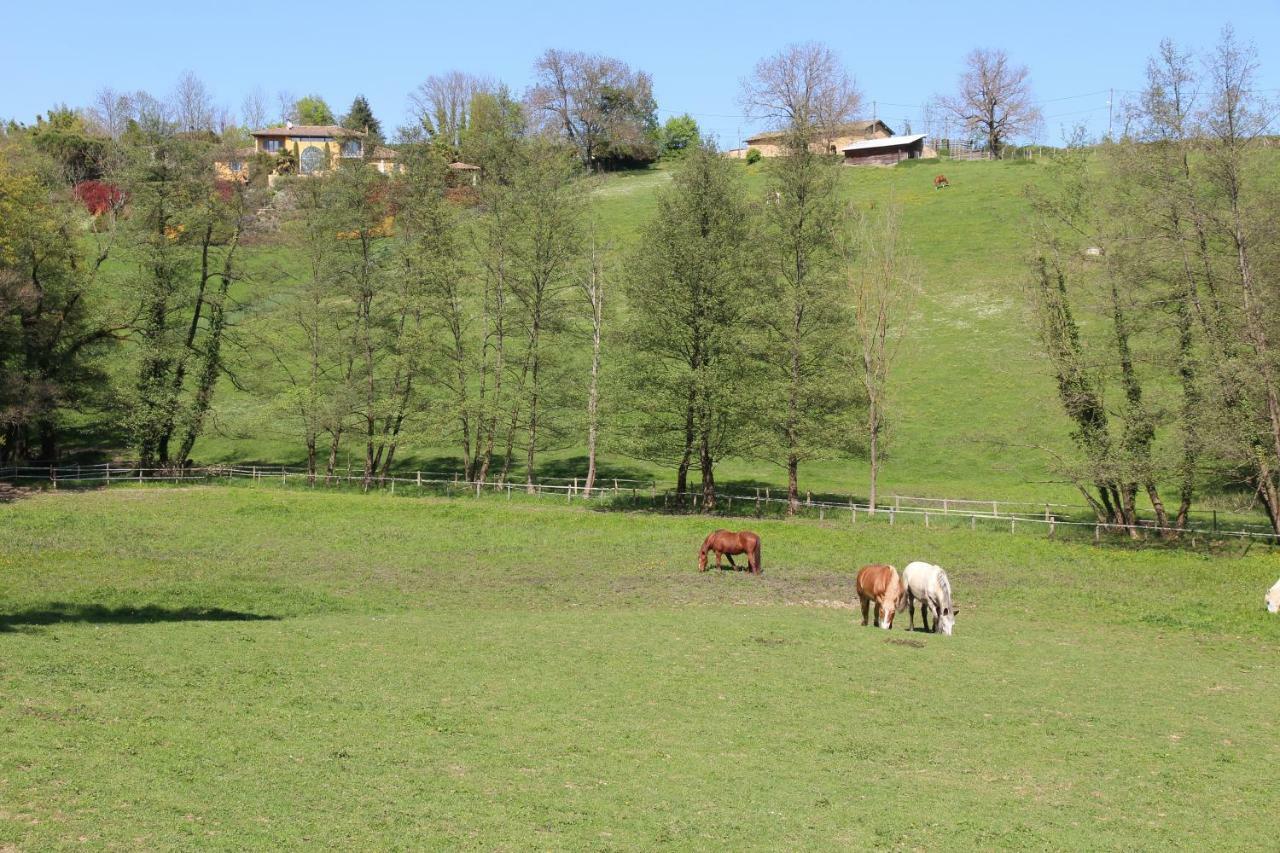 Le Vallon de Saint André Limonest Esterno foto